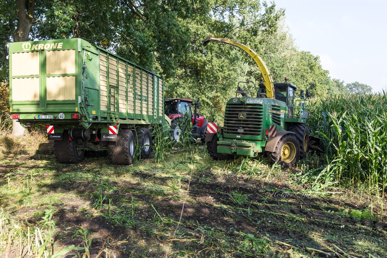 Bild 202 - Maisernte